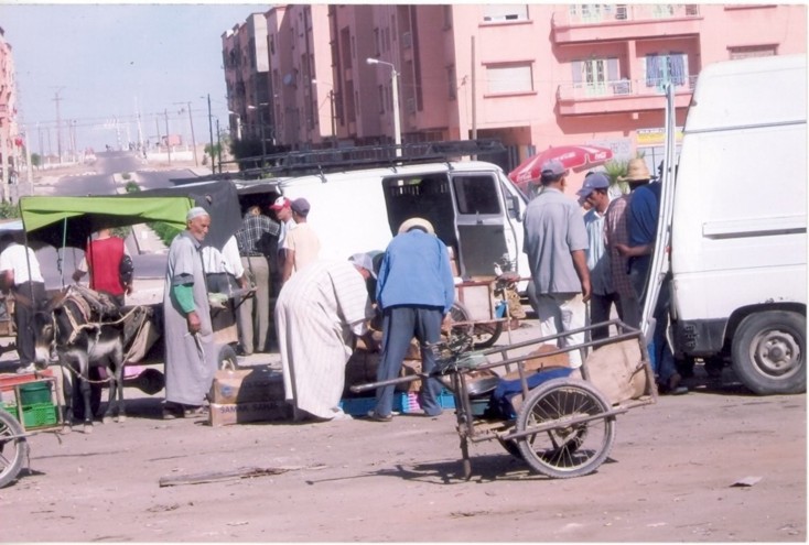 في شأن الاستجابة لمعايير الصحة و النظافة بابن جرير ... رئيس جمعية الانوار الرحمانية لبيع و تسويق الاسماك يرفع شكاية للمسؤولين