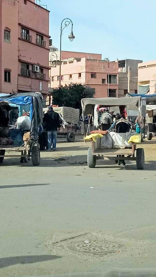 باشا المدينة...انتقائية وعشوائية في تحرير الملك العمومي بابن جرير...!